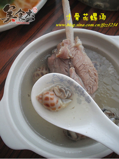 寸骨花螺汤的做法步骤：5