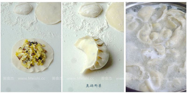 素馅饺子的做法步骤:9